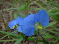 DSC00789.webp
