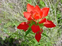 DSC01187.webp