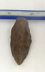 Arrowhead head on.webp