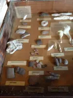 image-1617888993.webp