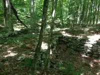image-561132515.webp