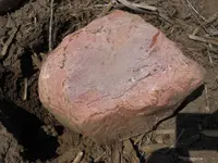 DSCN3309.webp