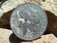 1884 s MORGAN DOLLAR found at el monte park 4-11-13.webp
