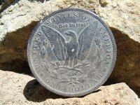 found 1884 s morgan dollar.JPG