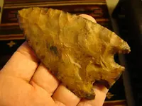 DSC04413.webp