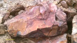 IMAG0121 (4).webp