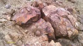 IMAG0122 (5).webp