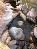 image-1872562601.webp
