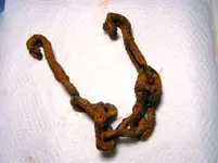 Iron chain.webp