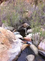image-4245236122.webp