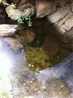 image-1303072637.webp