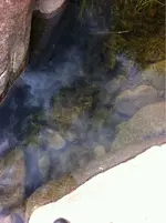 image-895086780.webp