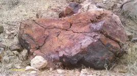 IMAG0124 (4).webp