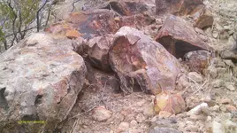 IMAG0123 (4).webp