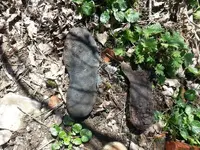 20130421_123954.webp