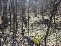 20130421_145051.webp