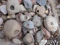 DSCN3326.webp