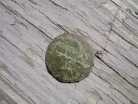 25mm of.webp