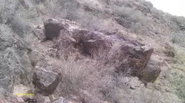 IMAG0136 (4).webp