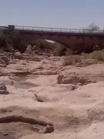 crevicing in creek.webp