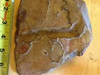 image-4162764645.webp