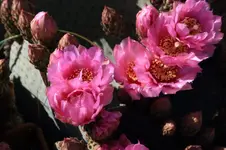 020.webp