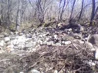 Photo on 2013-04-27 at 11.10.webp