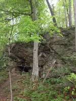 image-3948652135.webp