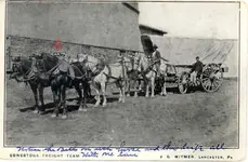 hames-bells-2.webp