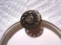 Old Pin.webp