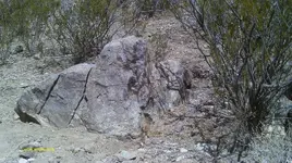 IMAG0150 (4).webp