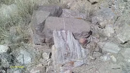 IMAG0154 (4).webp