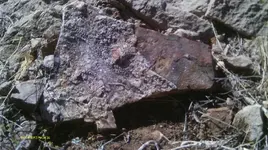IMAG0283 (3).webp