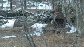 100_0005.webp