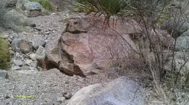 IMAG0319 (4).webp