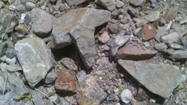 IMAG0321 (4).webp
