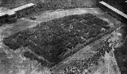 aerial1.webp