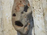 DSCN3315.webp