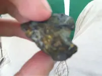 image-3514680705.webp