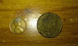 IMAG0220.webp