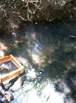 image-1284552403.webp