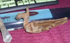 gun 003.webp