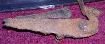 gun 001.webp
