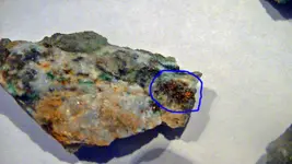 copper 1.webp