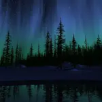 image-3089853232.webp image-3089853232.webp