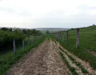 20130501_184541.webp