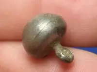 button.webp