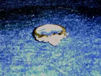 ring.webp