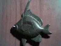 fish.webp