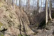 100_2321.webp